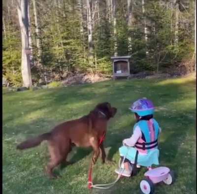 Fetch