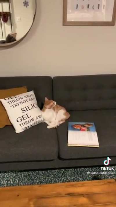 Dave doesn't want to meet the guest!