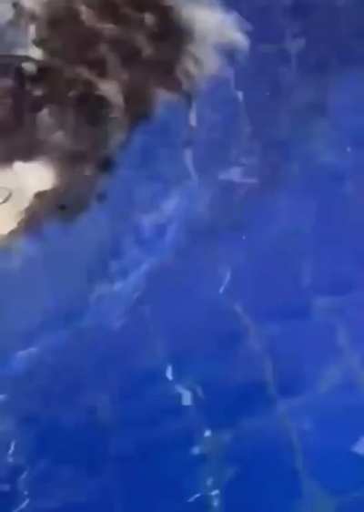 someone doesn't know how to swim ??