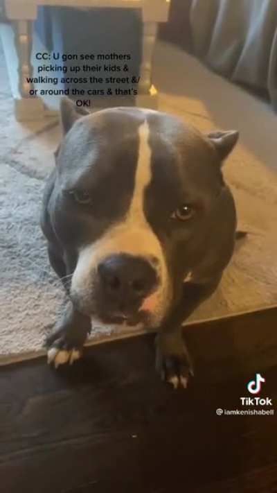Sweet Daisy ?? her face!