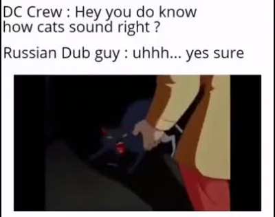 What do cats sound like in Russia?