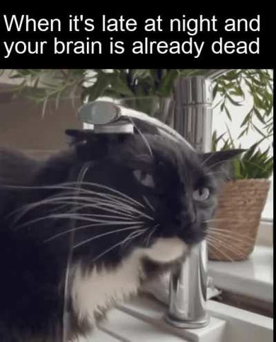 Every single time