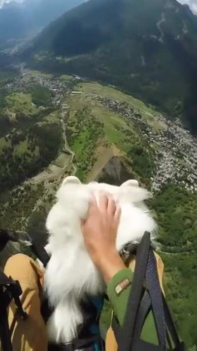 Flying with such a cute guy must has endless joy!??