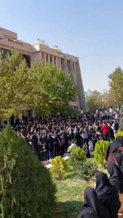 Iranian women protests still going strong after 40 days. The chant is "I am an honorable woman, you are immoral and lewd"