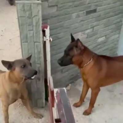 Social media vs in-person confrontation