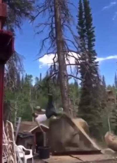 Backflip