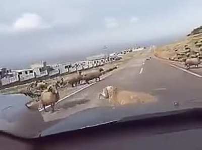 Maybe Maybe Maybe
