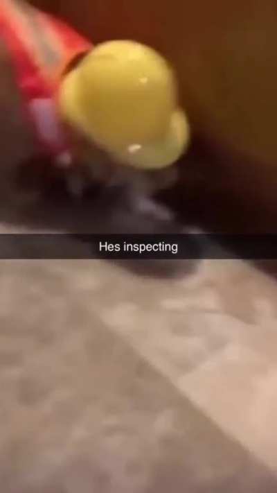 ?‍♂️