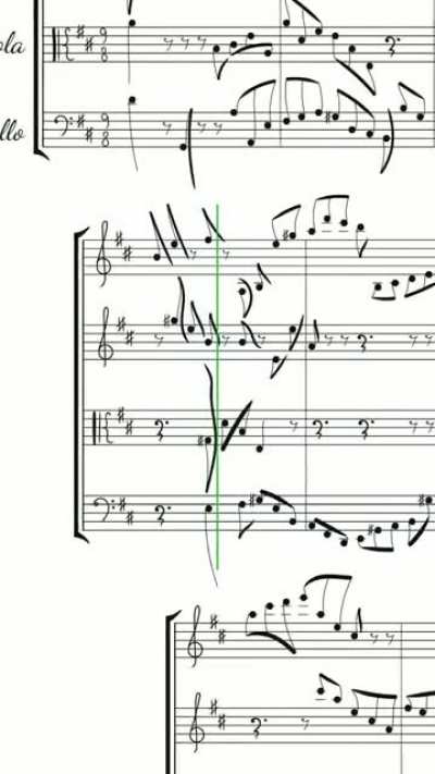 String Quarcat no.4 - featuring adorable Cotton's portrait. [@sympawnies]