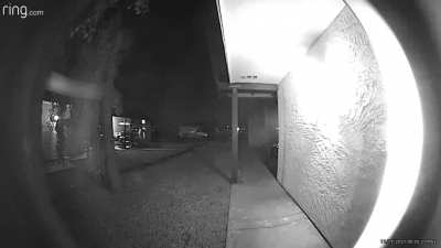 Perfect timing... Caught this gem after I heard commotion outside asks checked Ring. Neighbor was taking his recycle bin into the street. ?? P.S. That is NOT a creaking door lol.