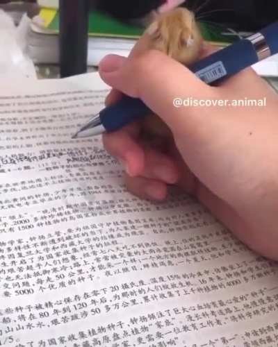 "I'll help out with your homework."