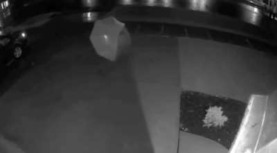 You are telling me it just got up and walked away ?!
