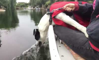 Alfie’s first boat trip derp