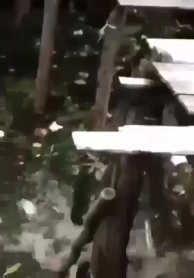 Epic fish capture
