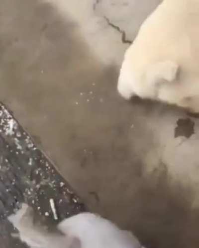 Thank you Hooman ??