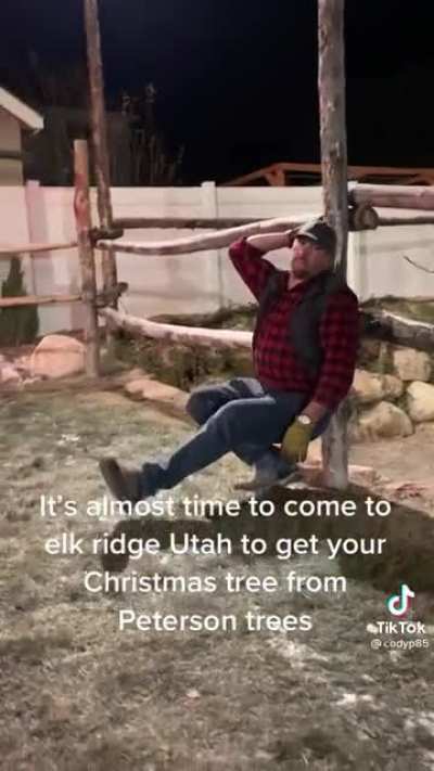 Perfect for Christmas