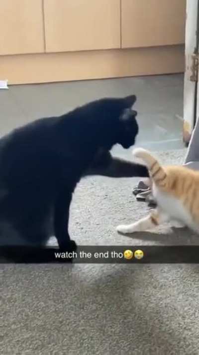 Maybe Maybe Maybe