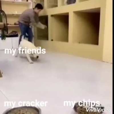 Shall I eat too