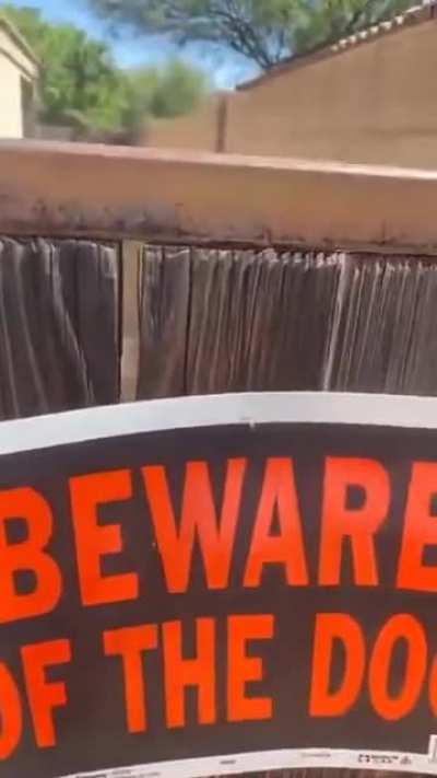 Beware of the..... Dog