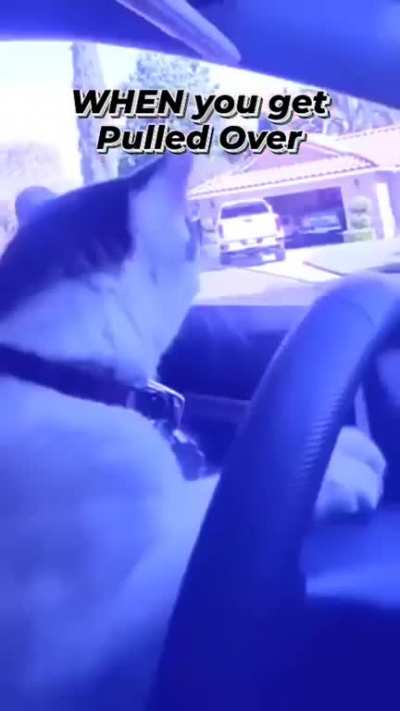 When you get pulled over.??‍♂️?