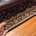 Skyrim irl