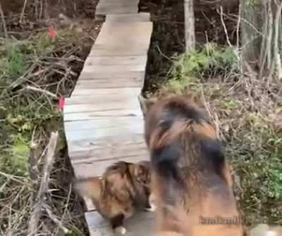 Be careful on your walk