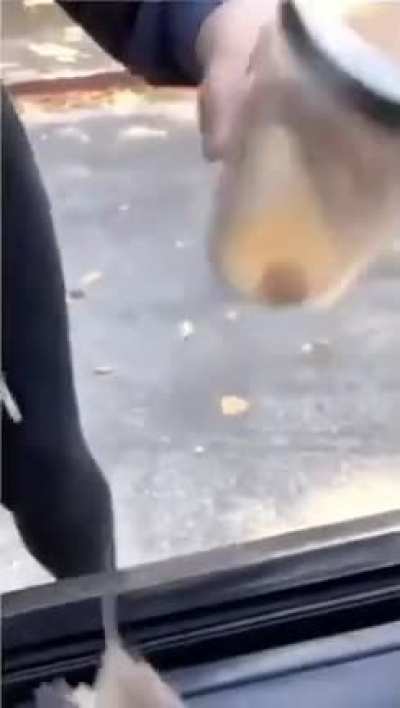 Catching mouse ?