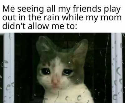 See you again my friend rain