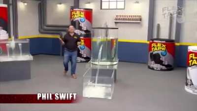 Holy cow