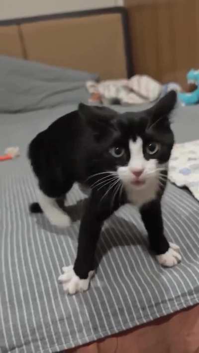 This fierce boy