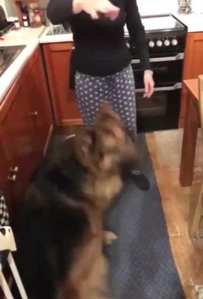 Tricks!