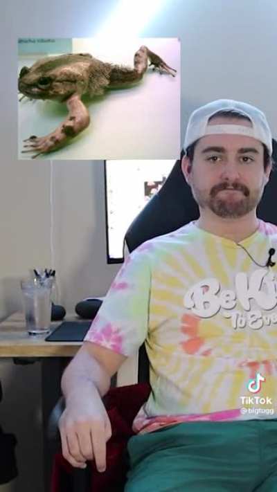 Weird frogs