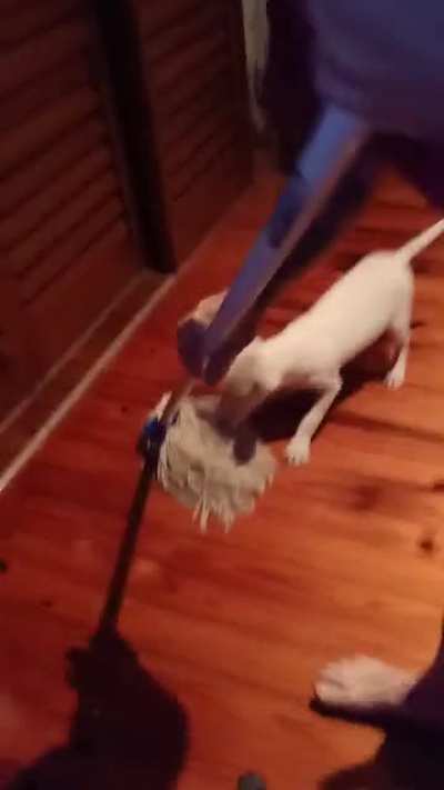 If you want a really shiny floor, you just can't beat buffing with a bully...?