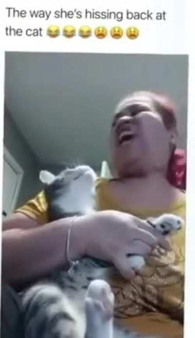 Cat went ?