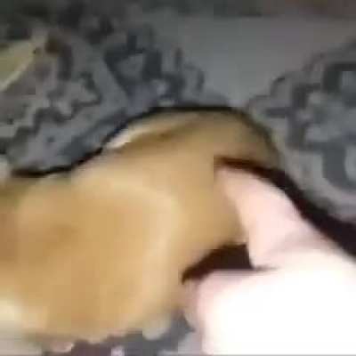 Well his hand is no more...
