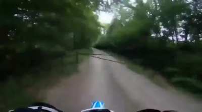 Speeding through the woods blindly.