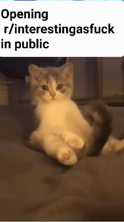 InTeReStInG