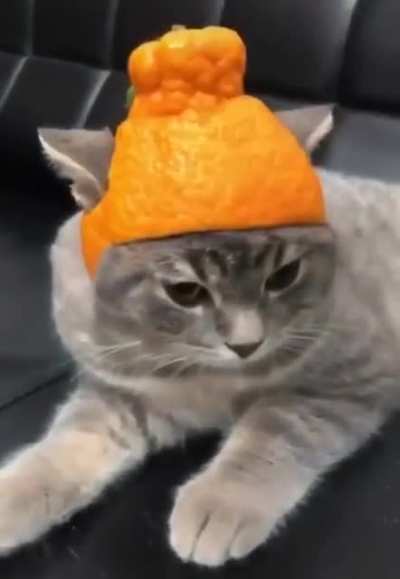 When you get that first set of armor before the boss battle