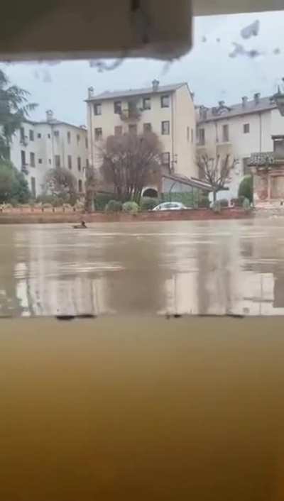 Heavy rains causing floods in Veneto, Italy.