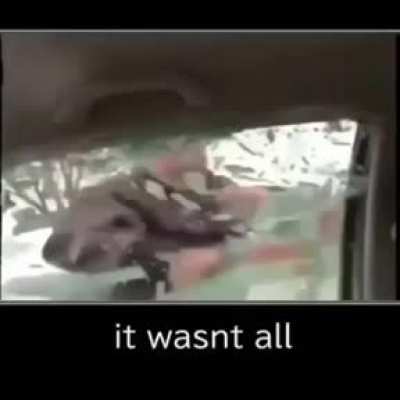 "Is that all?"