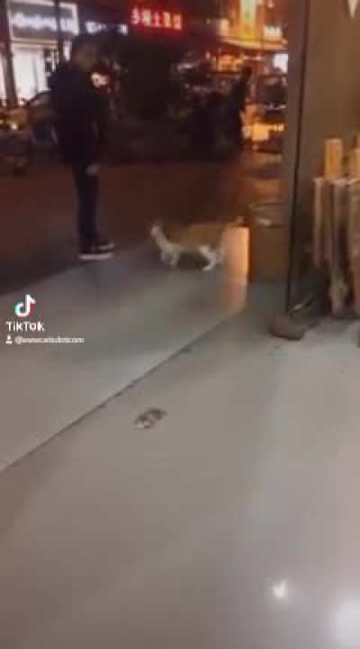 Michael Catson! ?