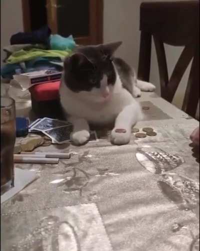 Maybe maybe maybe