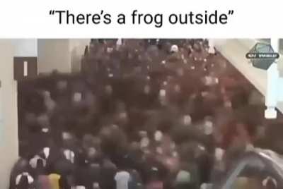 Frog moment?