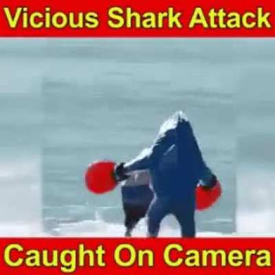 A shark attack!