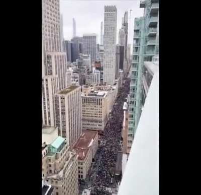 Aerial view captures just how many protesters were at the Hands Off! protest in New York City.