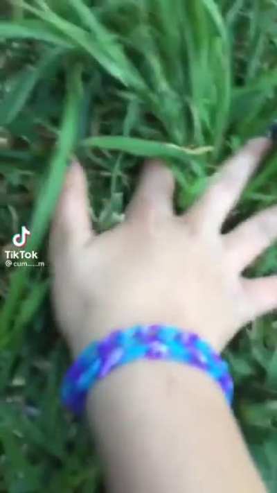 Don't touch the grass