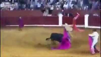 A bullfight of culture