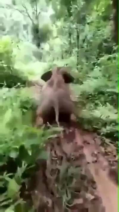 Little man said "weeeeeeee..."