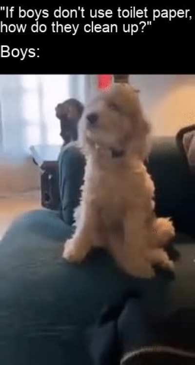 wiggle wiggle wiggle wiggle