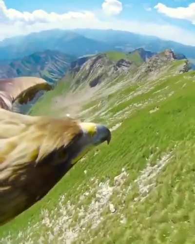 ? Bird's-Eye View of the Alps